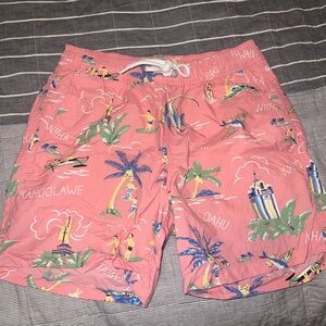 J. Crew Hawaii Bathing Suit